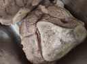 月盛齋【冰鮮羊肉】國產(chǎn)原切羔羊羊腱子塊1.2斤（不含拐筋） 燉煮 曬單實(shí)拍圖