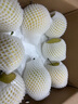 京鮮生 河北青翠蜜梨 凈重4.5斤 單果250g+ 青皇冠梨 生鮮水果 源頭直發(fā) 曬單實(shí)拍圖