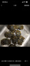 【活蟹】蟹叁鉗莊鮮活大閘蟹現貨全母蟹3.0-3.3兩8只螃蟹去繩足重海鮮中秋禮盒 曬單實(shí)拍圖