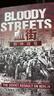 《血街：柏林戰役》東線(xiàn)文庫031 二戰戰史 二戰書(shū)籍 軍事書(shū)籍 蘇德戰爭 曬單實(shí)拍圖