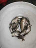 鮮丹蚯蚓紅蟲(chóng)顆粒餌料鄧剛推薦釣魚(yú)專(zhuān)用全能野釣通殺鯉魚(yú)鯽魚(yú)腥香 買(mǎi)二贈一【紅腥香】 曬單實(shí)拍圖