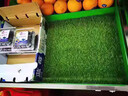 筠月熙草坪地墊不掉渣水果店墊子超市裝飾用品專(zhuān)用果蔬鋪墊假草皮貨架 以下寬度都有/長(cháng)度要幾米拍幾件 曬單實(shí)拍圖