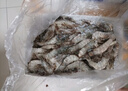 GUO LIAN國聯(lián)鹽凍大蝦 去冰凈重3斤 75-90只 盒裝活凍生鮮海鮮家宴白蝦 曬單實(shí)拍圖