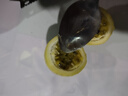 廣西欽蜜9號黃金百香果萬(wàn)澄當季新鮮大果黃皮果奶茶店水果 【1斤 約11-17個(gè)】單果30-45g 曬單實(shí)拍圖
