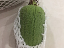 山東短胖肉絲瓜青絲瓜肉棒絲瓜新鮮厚肉現(xiàn)摘現(xiàn)發(fā)蔬菜消暑解膩 1.5斤 曬單實(shí)拍圖