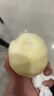 四叔公果蔬山東萊陽(yáng)秋月梨正宗【閃送-多地次日達】應季新鮮梨子水果禮盒 【80%買(mǎi)-甜度升級】冰糖大果｜300g+ 10斤裝【家庭暢吃-狠劃算】?jì)?.5斤 曬單實(shí)拍圖