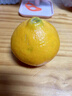 京鮮氣正宗四川愛(ài)媛果凍橙38號特產(chǎn)橙當季新鮮水果精選孕婦水果整箱柑橘 精選大果5斤【無(wú)禮盒裝】 曬單實(shí)拍圖