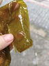 渤海捕手大連特產(chǎn)新鮮鹽漬裙帶菜5斤/箱（含鹽只有10%出成率高） 曬單實(shí)拍圖