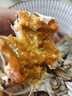 【活蟹】陽(yáng)澄清歆大閘蟹 鮮活特大螃蟹公蟹母蟹 海鮮水產(chǎn)生鮮禮盒 公4.0-4.3兩母3.0-3.3兩 5對十只 曬單實(shí)拍圖