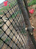 加厚塑料網(wǎng)格防護養殖養雞圍欄網(wǎng)玉米網(wǎng)圍欄安全網(wǎng)防護網(wǎng)格護欄圍 1米高--15米長(cháng) 2.0毫米厚+3.6厘米孔抗凍抗曬壽命10年 曬單實(shí)拍圖