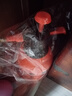 農寶澆花噴壺氣壓式養花澆水壺大容量家用清潔消毒噴霧器噴水壺灑水壺 曬單實(shí)拍圖