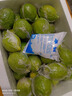 姬幻廣西香水檸檬新鮮一級果應當季水果海南無(wú)籽青檸檬奶茶店專(zhuān)用9斤 1斤裝中小果【單果50-80g】 曬單實(shí)拍圖