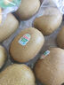 佳沛（zespri）綠奇異果特大果22-25個(gè)原箱裝單果約133-176g 水果禮盒獼猴桃 曬單實(shí)拍圖