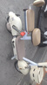科迅 KX2025新款電動(dòng)自行車(chē)成人電瓶車(chē)女士小型親子代步車(chē)時(shí)尚電動(dòng)車(chē)可上牌新國標電車(chē) 米白色 配【黑聚王】48V20A-續航約80KM 曬單實(shí)拍圖