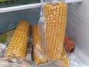當季新貨頭茬東北黃甜糯玉米棒真空包裝低脂黃糯大棒甜東北黏苞米 黃糯玉米【120-160克】4根 曬單實(shí)拍圖