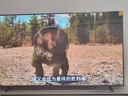 Vidda X 2025款 65英寸 Mini LED【送裝一體版】528分區(qū) 以舊換新家電國家補(bǔ)貼液晶電視空調(diào)最佳CP 曬單實(shí)拍圖