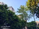vivo X300 Pro 蔡司2億APO超級長(cháng)焦 藍圖自研影像雙芯 5年持久流暢OriginOS 6 直屏拍照手機 新品 國補 自在藍 16GB+1TB 贈399元尊享禮盒 曬單實(shí)拍圖