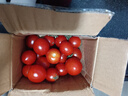 【超市品質(zhì)】新鮮水果圣女果小番茄孕婦兒童即食零食生鮮水果 帶箱 300g 紅色圣女果 曬單實(shí)拍圖