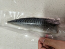 美加佳挪威青花魚(yú)片凈重2斤（8-10片）鯖魚(yú)片 獨立包裝 去頭去尾去臟 曬單實(shí)拍圖