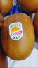 佳沛（zespri）佳沛奇異果新西蘭進(jìn)口陽(yáng)光金果【JD順豐-送貨上門(mén)】黃心獼猴桃 【禮盒】16顆 特大果約100-120g 曬單實(shí)拍圖