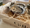 吉娜朵Gillardeau 鮮活法國生蠔空運即食 生鮮活鮮 進(jìn)口刺身 源頭直發(fā) 單只平均145克至少12只N1 曬單實(shí)拍圖