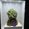 酷樂(lè )鋒【膚感|抗指紋】適用華為暢享80手機殼保護套 暢享80手機套鏡頭全包超薄磨砂背殼軟殼外殼黑色 曬單實(shí)拍圖