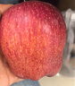 京鮮生 天水花牛蘋(píng)果 凈重8斤 單枚210g+ 生鮮水果源頭直發(fā) 曬單實(shí)拍圖
