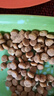 偉嘉成貓貓糧3.6kg海洋魚(yú)味布偶英短貓咪夾心糧全價(jià)糧【原料透明】 曬單實(shí)拍圖