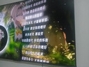 東芝電視65Z500QF 65英寸 Mini LED控光 144Hz 3+128GB 火箭炮音響 4K超清 以舊換新家電國家補貼 曬單實(shí)拍圖