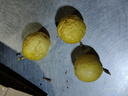 正宗廣西欽蜜9號百香果新鮮水果北城現摘香甜營(yíng)養豐富多汁鮮果 3個(gè)寶寶果 曬單實(shí)拍圖