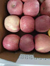 京鮮生 煙臺紅富士蘋(píng)果 凈重10斤 單果220g以上 中秋水果禮盒 曬單實(shí)拍圖