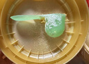 惠氏（Wyeth）啟賦蘊(yùn)淳A2進(jìn)口HMO幼兒配方奶粉3段（12-36月）810g 曬單實(shí)拍圖