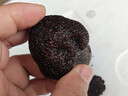 云南野生新鮮黑松露特級禮盒裝 Black Truffle塊菌高端食材蘑菇 黑松露2-3cm250g【茶色】 曬單實(shí)拍圖
