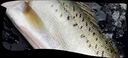 GUO LIAN國聯(lián)水產(chǎn) 三去海鱸魚(yú)3條/凈重2.4斤 海鮮魚(yú)類(lèi)水產(chǎn)生鮮源頭直發(fā) 曬單實(shí)拍圖