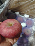 【2025新果】陜西洛川紅富士蘋(píng)果整箱正宗脆甜冰糖心生鮮水果禮盒 80-85#大果帶箱5斤凈果4.5斤 曬單實(shí)拍圖