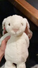 Jellycat花布邦尼兔動(dòng)物毛絨玩偶兔子玩偶兒童禮物娃娃生日新婚禮物 白芮（乳白色） Medium 曬單實(shí)拍圖