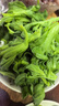 辰實(shí)【發(fā)順豐】山東冰草 新鮮冰菜 水晶花冰葉 火鍋即食生吃沙拉菜 2斤新鮮冰草 曬單實(shí)拍圖