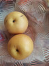 京鮮生山東煙臺萊陽(yáng)秋月梨凈重8斤 單果300g+ 生鮮水果 源頭直發(fā)包郵 曬單實(shí)拍圖