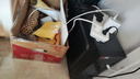 微星 酷睿i5 12600KF/RTX4060/4060TI/4070S/5060Ti海景房游戲主機電腦臺式機優(yōu)惠補貼組裝電腦DIY主機 配一 I5 12490F丨1T丨RTX3060 曬單實(shí)拍圖