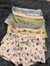 尼多熊兒童內褲男孩A類(lèi)純棉寶寶嬰兒小童四角平角小孩中大童短褲不夾PP 曬單實(shí)拍圖