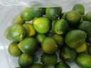 海南小金桔新鮮青檸檬青柑皮薄應當季奶茶店水果檸檬青桔皮薄多汁 金桔（5-10g）帶箱1斤 凈重 0.8 曬單實(shí)拍圖