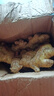農多鮮 云南小黃姜 新鮮蔬菜現挖現發(fā)調味料火鍋食材 產(chǎn)地直供 小黃姜1斤 云南小黃姜 曬單實(shí)拍圖
