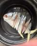 彩雙海深海金鯧魚(yú)干淡曬鯧魚(yú)干風(fēng)干特大金昌魚(yú)干貨海鮮陽(yáng)江特產(chǎn) 【300-350g/條】5條 曬單實(shí)拍圖