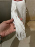 奕清良品老式棉線(xiàn)拖把家用一拖凈大號棉紗墩布頭酒店工廠(chǎng)拖地吸水拖把帶桶 【1桿1頭】圓頭棉紗拖把 曬單實(shí)拍圖