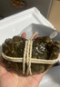 【活蟹】陽(yáng)澄靖壹大閘蟹 現貨鮮活大螃蟹公母蟹 海鮮水產(chǎn)生鮮禮盒 公4.0-4.3兩母3.0-3.3兩4對8只 曬單實(shí)拍圖