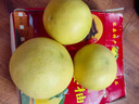 正宗廣西容縣沙田柚蜜柚新鮮水果當(dāng)季時令孕婦柚子整箱純甜 9斤(8.5-9斤)4-5個裝 40年老樹果彩箱現(xiàn)摘現(xiàn)發(fā)派送到家 曬單實(shí)拍圖