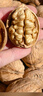 新邊界（new boundaries）薄皮核桃1500g 新疆特產(chǎn)阿克蘇核桃堅果炒貨手剝原味量販 曬單實(shí)拍圖