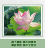 金利來(lái)（Goldlion）男鞋25秋款男士免系商務(wù)休閑鞋柔軟舒適增高運動(dòng)鞋黑色41 曬單實(shí)拍圖