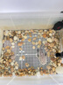 金利佳（Jeneca）小魚(yú)缸瀑布式壁掛式過(guò)濾器三合一凈水過(guò)濾循環(huán)內置水泵滴流盒過(guò)濾 10W 升級款+干濕分離，適用100cm以?xún)若~(yú)缸 曬單實(shí)拍圖