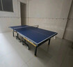 雙魚(yú)（DOUBLE FISH） 乒乓球桌室內可折疊移動(dòng)式乒乓球臺家用訓練比賽標準乒乓球案子 226B-藍面22MM 曬單實(shí)拍圖